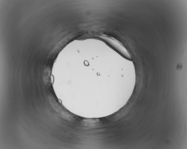 X0000115210480200911251512