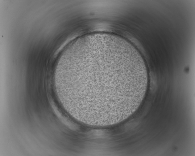 X0000115210482200911251511