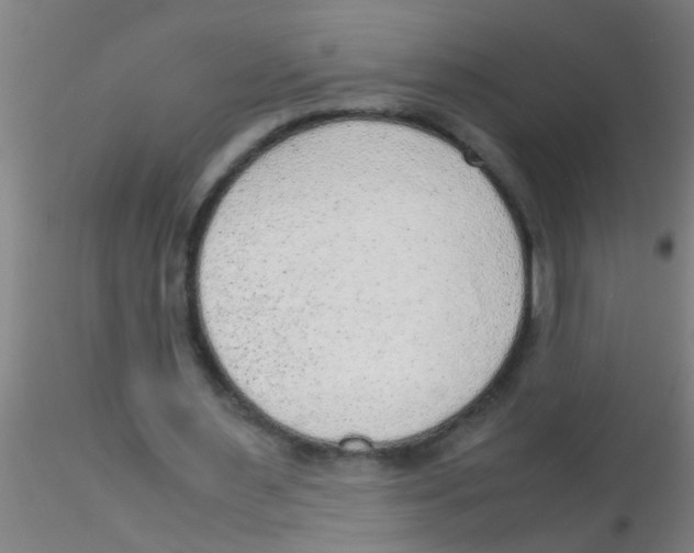 X0000115210483200911251511