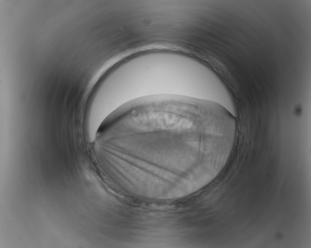 X0000115210484200911251511