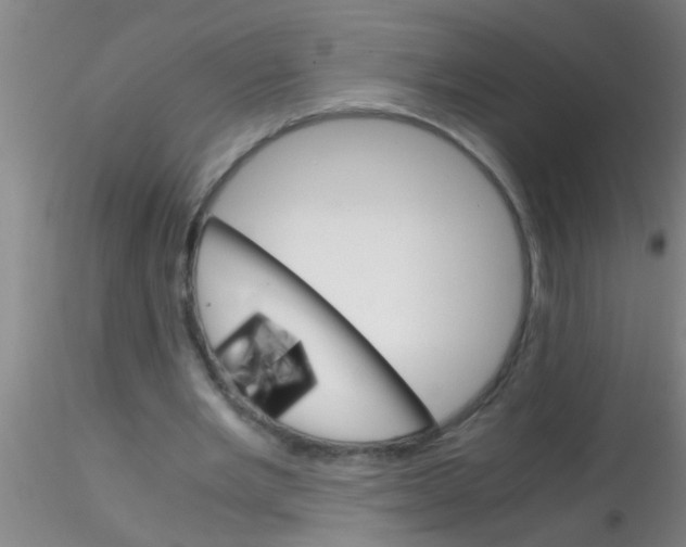 X0000115210485200911251511