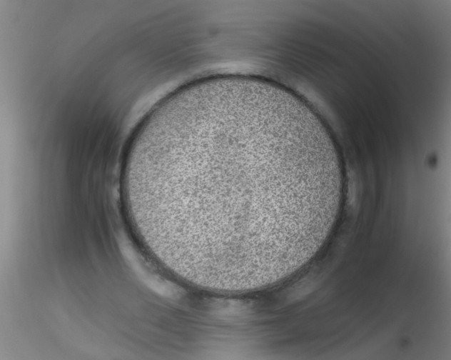 X0000115210486200911251511