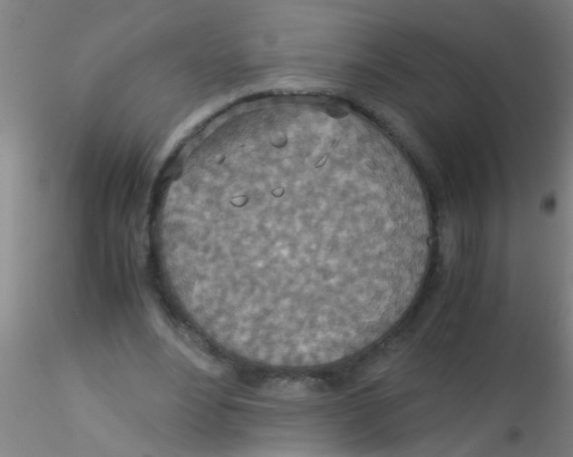 X0000115210488200911251511