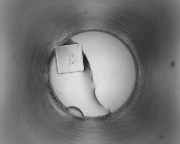 X0000115210489200911251511