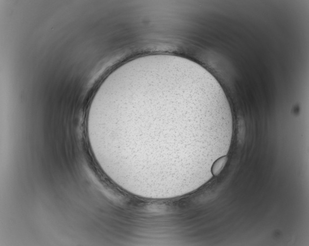 X0000115210490200911251511