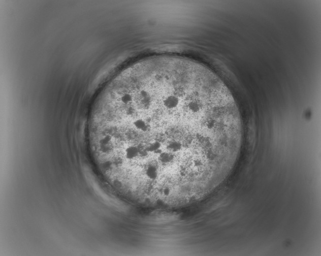 X0000115210491200911251511