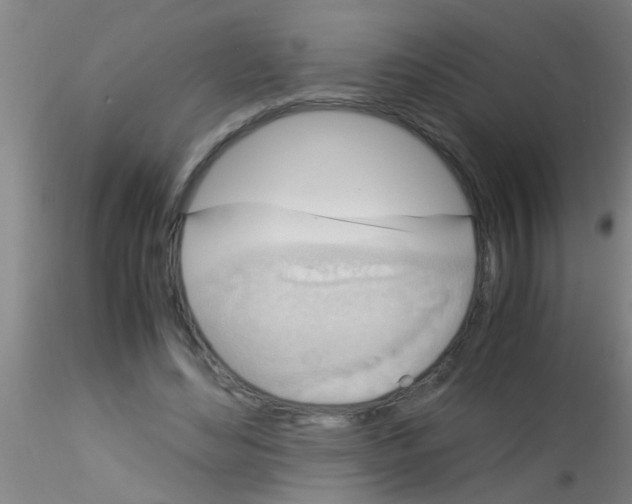 X0000115210492200911251511