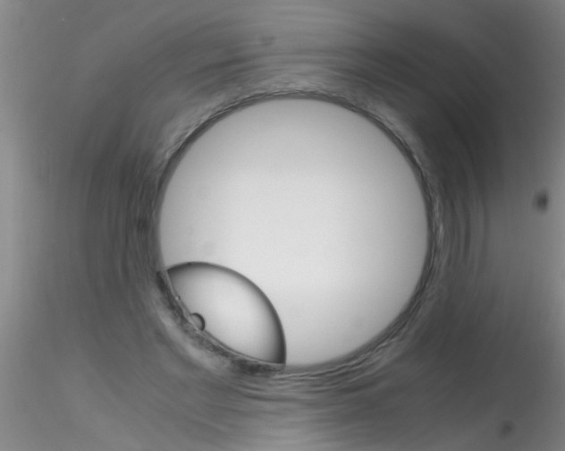 X0000115210493200911251511