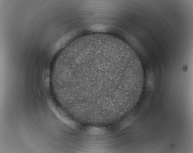 X0000115210494200911251511