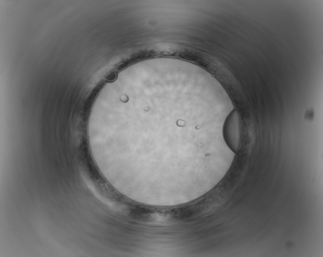 X0000115210496200911251511