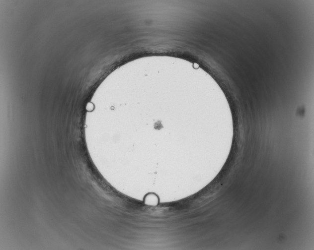 X0000115210497200911251511