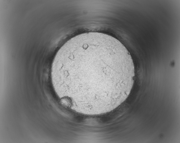 X0000115210499200911251511