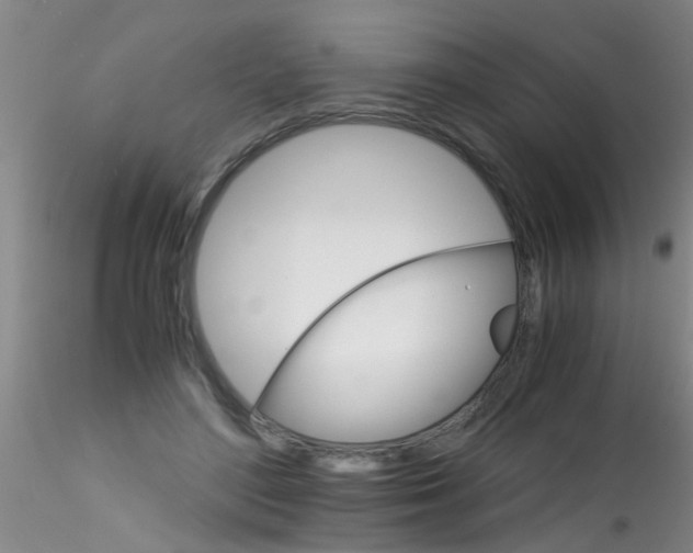 X0000115210500200911251511