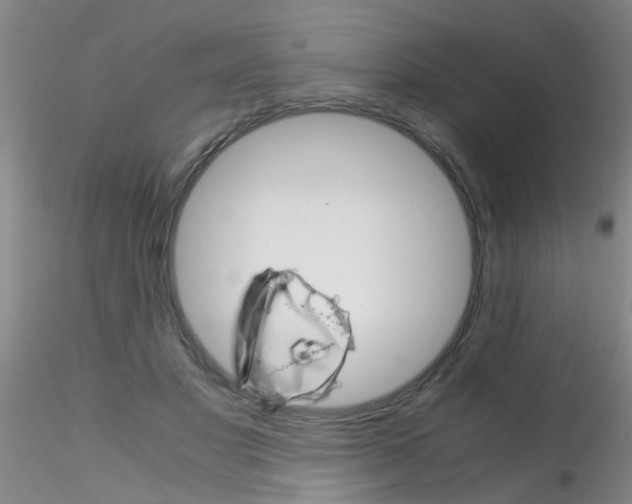 X0000115210501200911251511