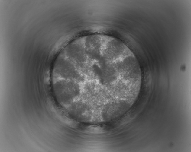 X0000115210502200911251511