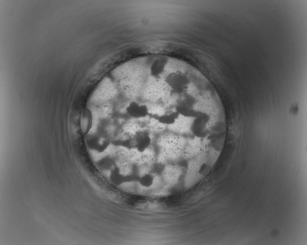 X0000115210503200911251511