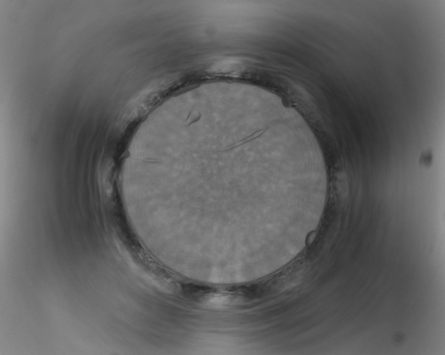 X0000115210504200911251511