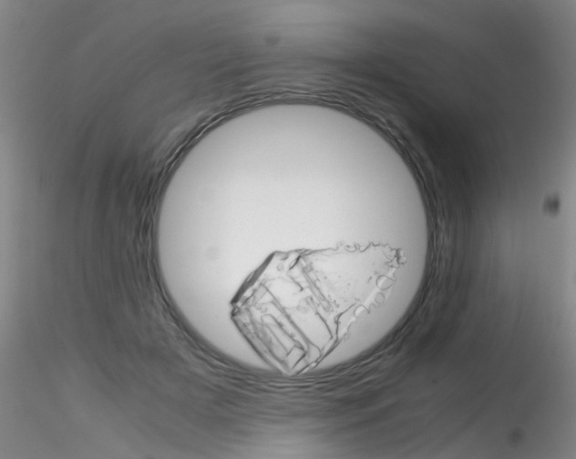 X0000115210505200911251511