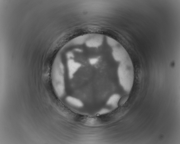 X0000115210507200911251511