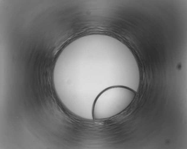 X0000115210508200911251511