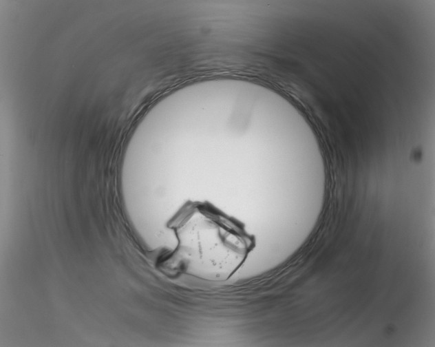 X0000115210509200911251511