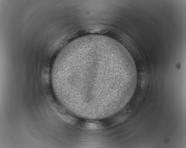 X0000115210510200911251511