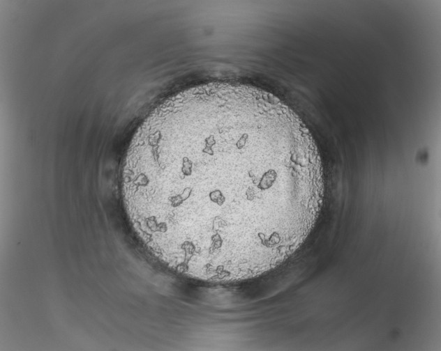 X0000115210511200911251511