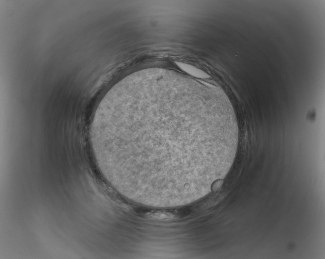 X0000115210512200911251511