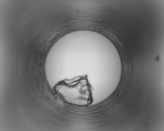 X0000115210513200911251511