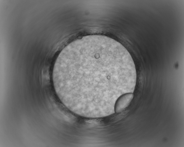 X0000115210516200911251511