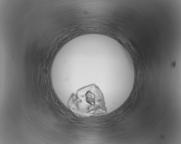 X0000115210517200911251511