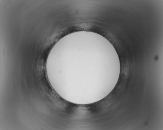 X0000115210518200911251511