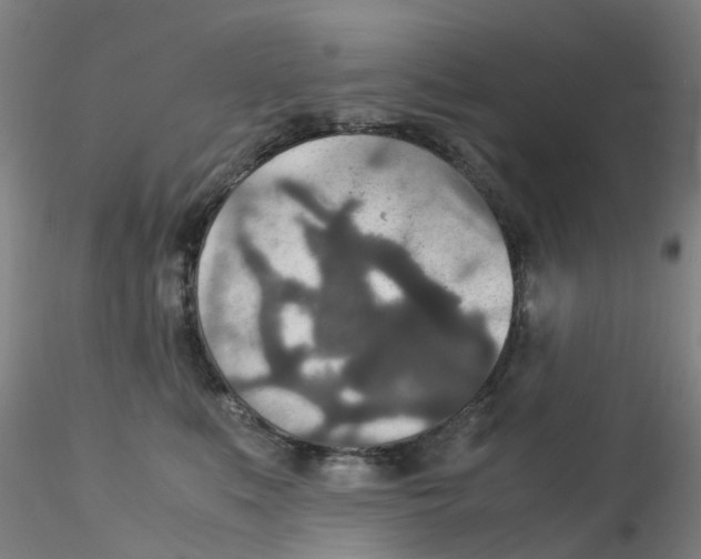 X0000115210519200911251511