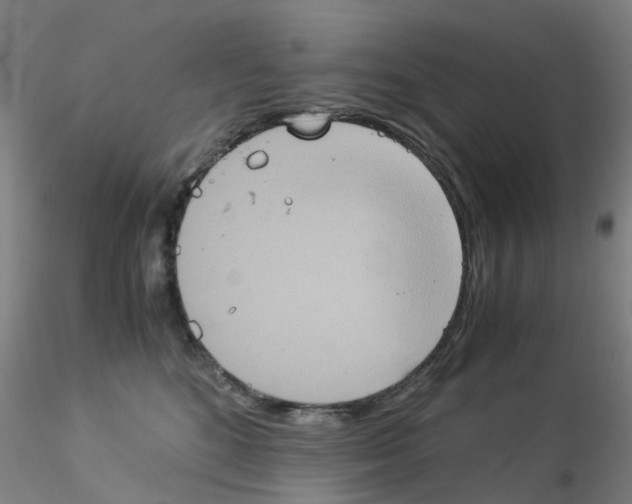 X0000115210520200911251511