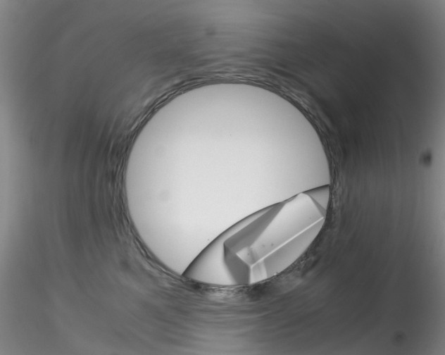 X0000115210521200911251511