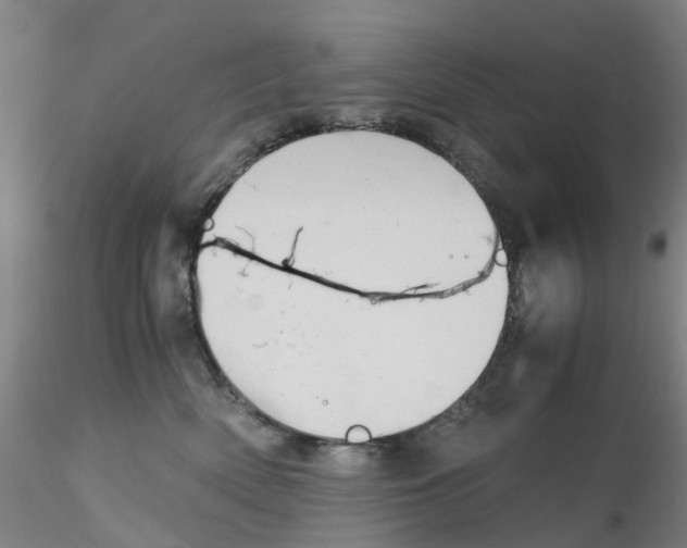 X0000115210522200911251510