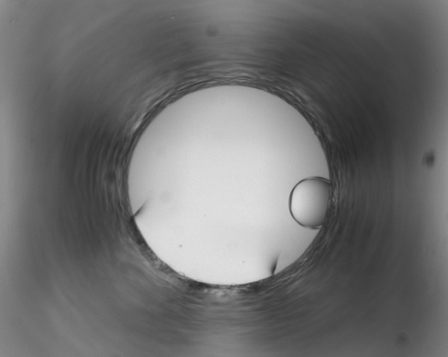 X0000115210524200911251510