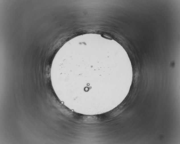 X0000115210525200911251510