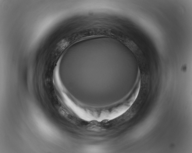 X0000115210526200911251510