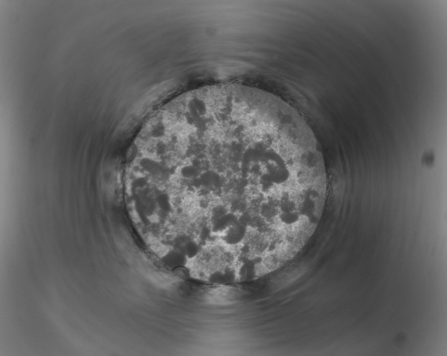 X0000115210527200911251510