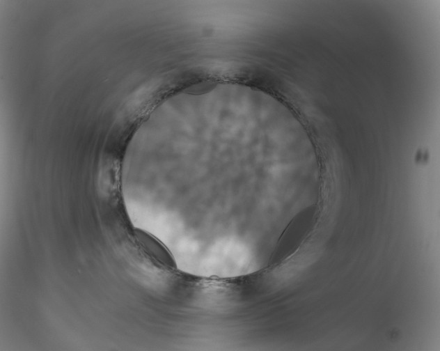 X0000115210528200911251510