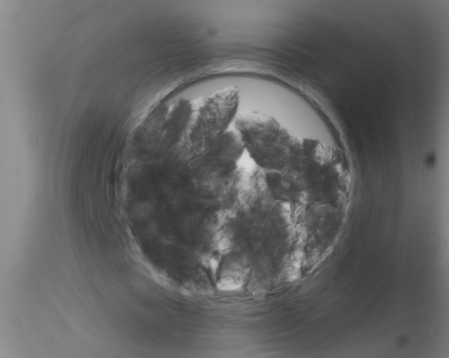 X0000115210529200911251510