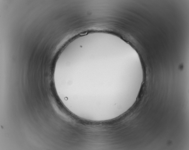 X0000115210530200911251510