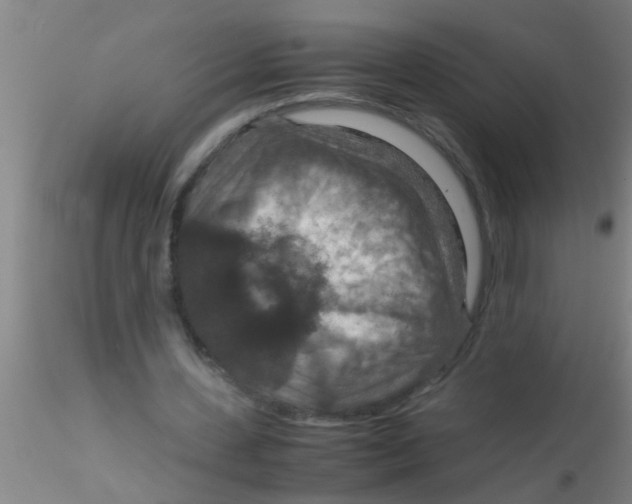 X0000115210531200911251510