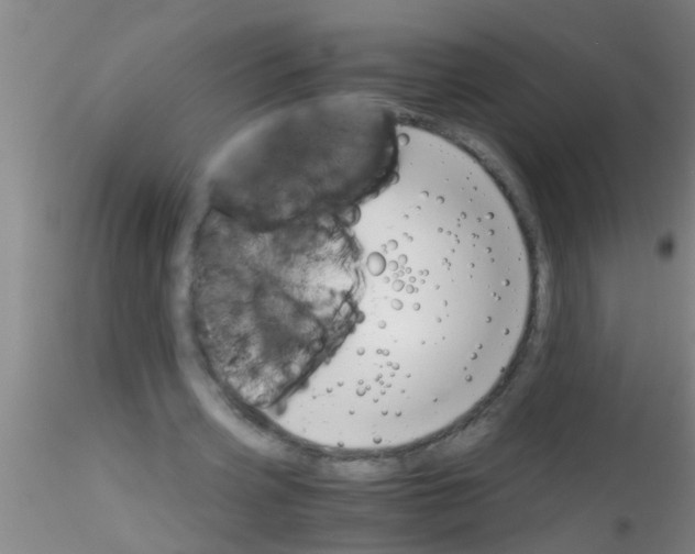 X0000115210533200911251510