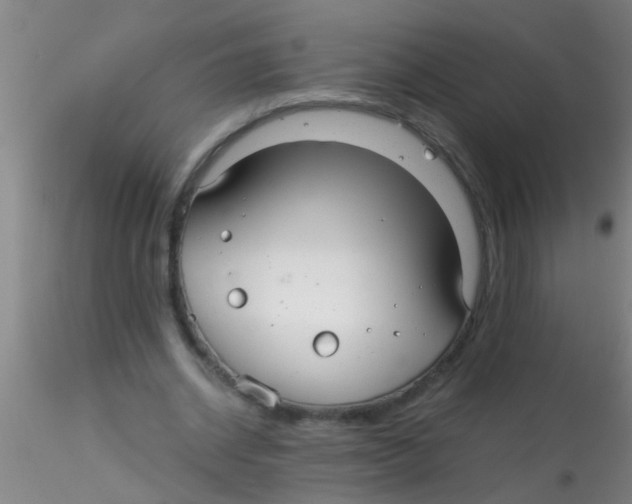 X0000115210534200911251510