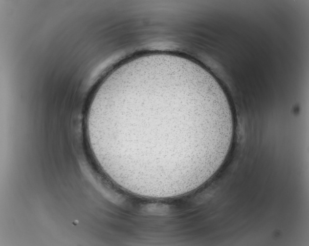 X0000115210535200911251510