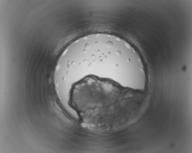 X0000115210537200911251510