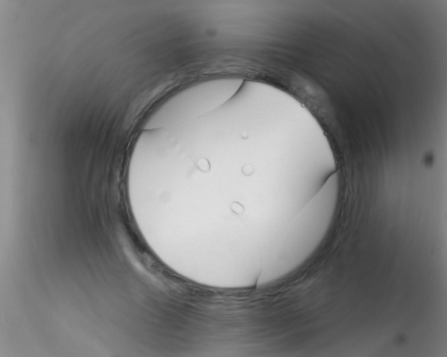 X0000115210538200911251510