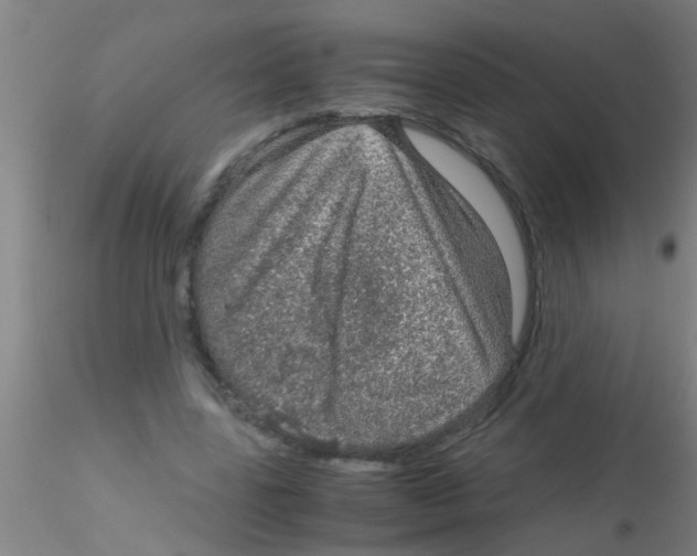 X0000115210539200911251510